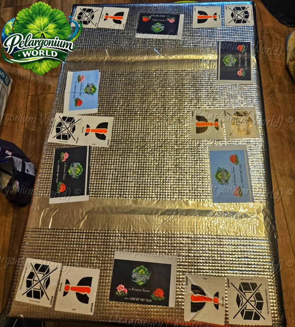 Pelargonium World Gallery